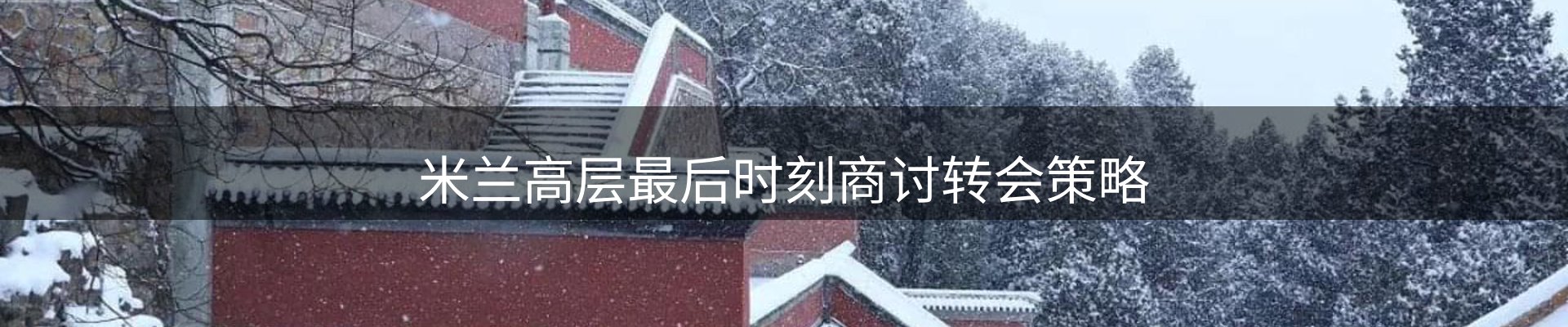 焦点总览