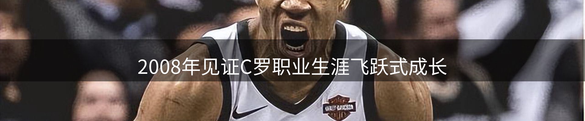 焦点总览